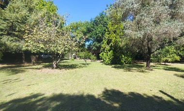 VENTA CASA QUINTA 3 AMBIENTES TRISTAN SUAREZ