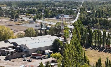 ALQUILER LOTE 5000 M2 FUTALEUFU 425 PLOTTIER