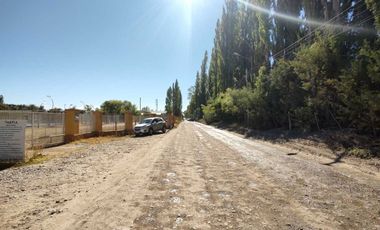 ALQUILER LOTE 5000 M2 FUTALEUFU 425 PLOTTIER
