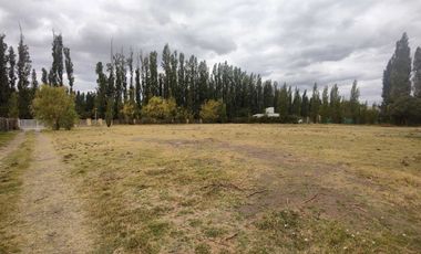 ALQUILER LOTE 5000 M2 FUTALEUFU 425 PLOTTIER