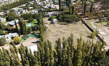 ALQUILER LOTE 5000 M2 FUTALEUFU 425 PLOTTIER