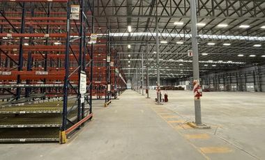 Nave Industrial en Alquiler de 11.000 m2 cubiertos - Escobar Garin