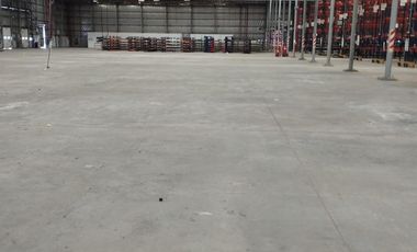 Nave Industrial en Alquiler de 12.353 m2 cubiertos - Escobar Garin