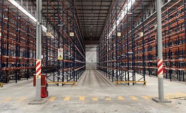Nave Industrial en Alquiler de 12.353 m2 cubiertos - Escobar Garin