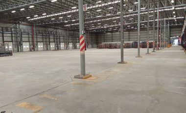 Nave Industrial en Alquiler de 12.353 m2 cubiertos - Escobar Garin