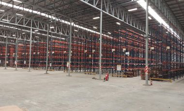 Nave Industrial en Alquiler de 12.353 m2 cubiertos - Escobar Garin