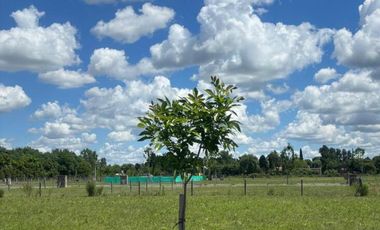 TERRENO EN VENTA, NORTES DEL PILAR