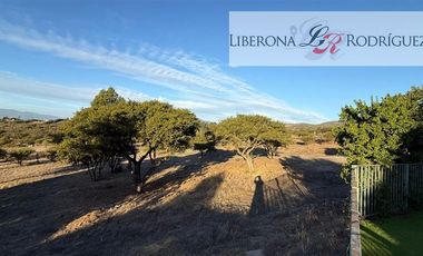 Casa en Arriendo en Parcela con casa en Lomas del Tranque, Valle Alegre