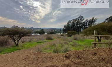 Casa en Arriendo en Parcela con casa en Lomas del Tranque, Valle Alegre