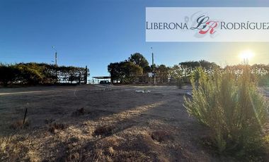 Casa en Arriendo en Parcela con casa en Lomas del Tranque, Valle Alegre