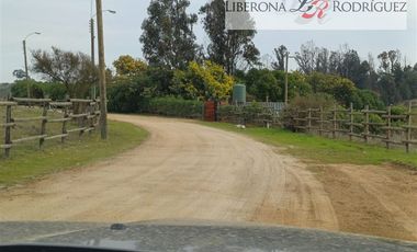 Casa en Arriendo en Parcela con casa en Lomas del Tranque, Valle Alegre
