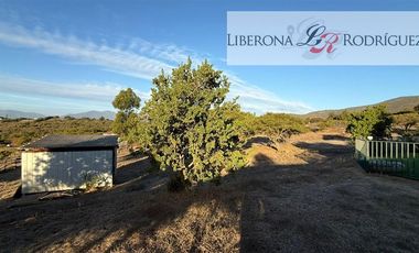 Casa en Arriendo en Parcela con casa en Lomas del Tranque, Valle Alegre