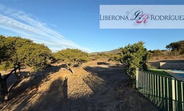 Casa en Arriendo en Parcela con casa en Lomas del Tranque, Valle Alegre