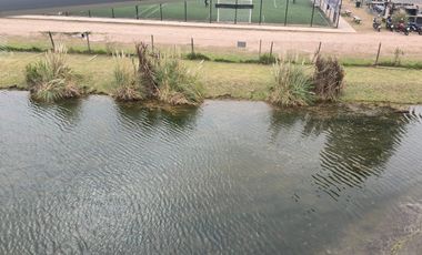 Oficina en Riviera Park
