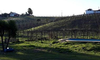 Parcela en venta  en MELIPILLA