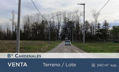 LOTE EN VENTA EN B° CARDENALES, NEUQUEN CAPITAL