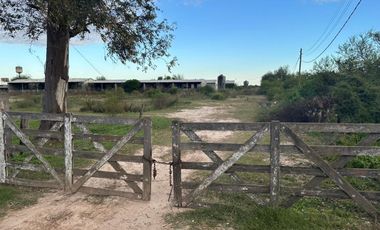 HECTAREAS A METROS DE RUTA 19 KM 4,5