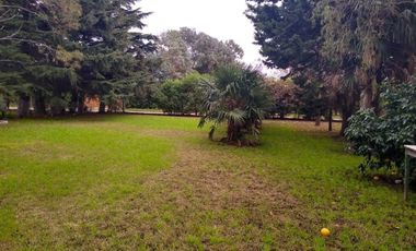 Venta Casa 3 amb. con parque de 3.000 m² y quincho