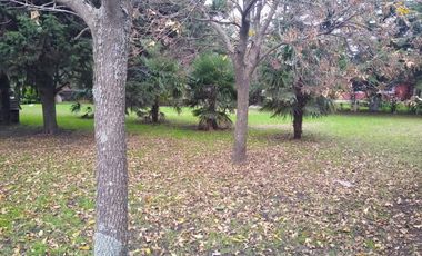 Venta Casa 3 amb. con parque de 3.000 m² y quincho