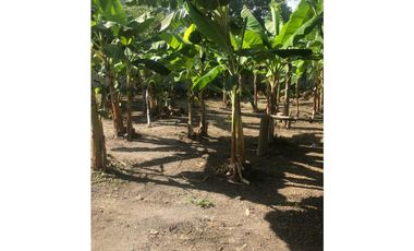 SE ARRIENDA HERMOSA CASA CAMPESTRE EN LA ZONA NOROCCIDENTAL DE CERETÉ