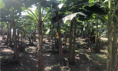 SE ARRIENDA HERMOSA CASA CAMPESTRE EN LA ZONA NOROCCIDENTAL DE CERETÉ