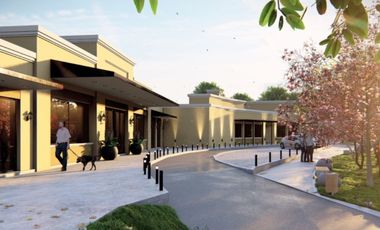 VENTA LOCALES COMERCIALES PASEO INTERCOUNTRY