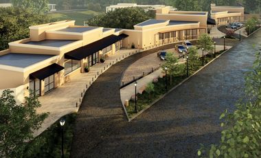 VENTA LOCALES COMERCIALES PASEO INTERCOUNTRY
