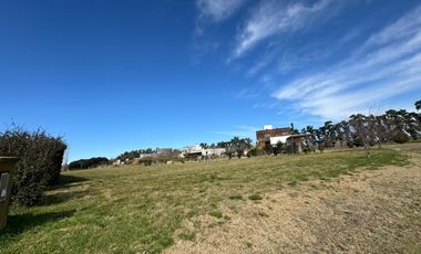 Venta Lote - Barrio Privado Los Palenques - Manzanares