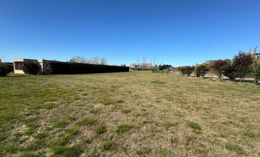 Venta Lote - Barrio Privado Los Palenques - Manzanares