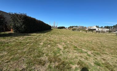 Venta Lote - Barrio Privado Los Palenques - Manzanares