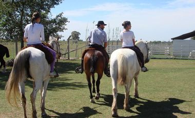 Campo Gral. Rodriguez, ideal MULTIPLES ACTIVIDADES