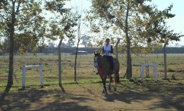 Campo Gral. Rodriguez, ideal MULTIPLES ACTIVIDADES
