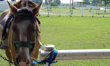 Campo Gral. Rodriguez, ideal MULTIPLES ACTIVIDADES