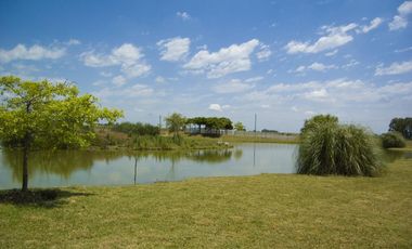Campo Gral. Rodriguez, ideal MULTIPLES ACTIVIDADES