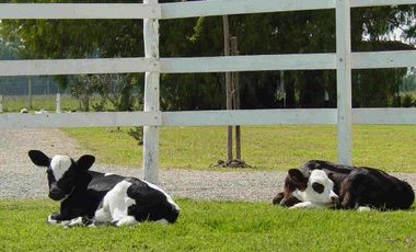 Campo Gral. Rodriguez, ideal MULTIPLES ACTIVIDADES