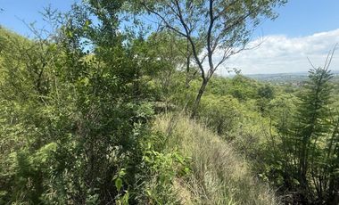 ALQUILER SALON BIALET MASSE N 59 HECTAREAS DE INCR VEGETACION CON VISTA AL LAGO  A 1 KM RUTA E 55