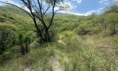 ALQUILER SALON BIALET MASSE N 59 HECTAREAS DE INCR VEGETACION CON VISTA AL LAGO  A 1 KM RUTA E 55