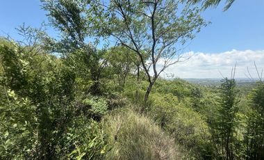 ALQUILER SALON BIALET MASSE N 59 HECTAREAS DE INCR VEGETACION CON VISTA AL LAGO  A 1 KM RUTA E 55