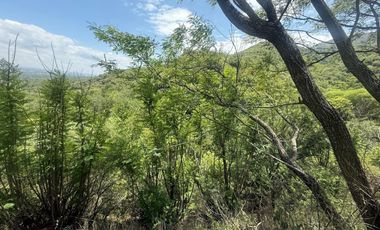 ALQUILER SALON BIALET MASSE N 59 HECTAREAS DE INCR VEGETACION CON VISTA AL LAGO  A 1 KM RUTA E 55