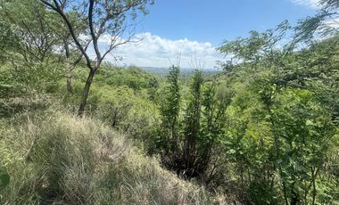 ALQUILER SALON BIALET MASSE N 59 HECTAREAS DE INCR VEGETACION CON VISTA AL LAGO  A 1 KM RUTA E 55