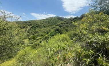 ALQUILER SALON BIALET MASSE N 59 HECTAREAS DE INCR VEGETACION CON VISTA AL LAGO  A 1 KM RUTA E 55