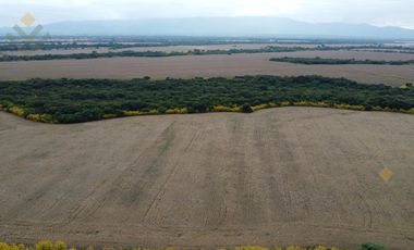 Campo en Venta en El Carmen