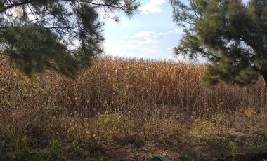 Campo en Venta en El Carmen