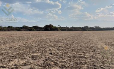 Campo en Venta en El Carmen