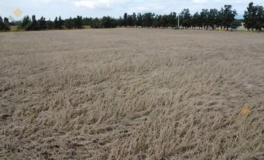 Campo en Venta en El Carmen