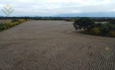 Campo en Venta en El Carmen