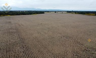 Campo en Venta en El Carmen