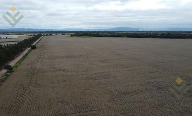 Campo en Venta en El Carmen