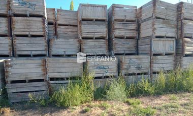 Venta - Dos cámaras de frio zona Cervantes - A008