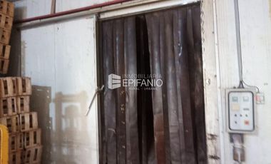 Venta - Dos cámaras de frio zona Cervantes - A008